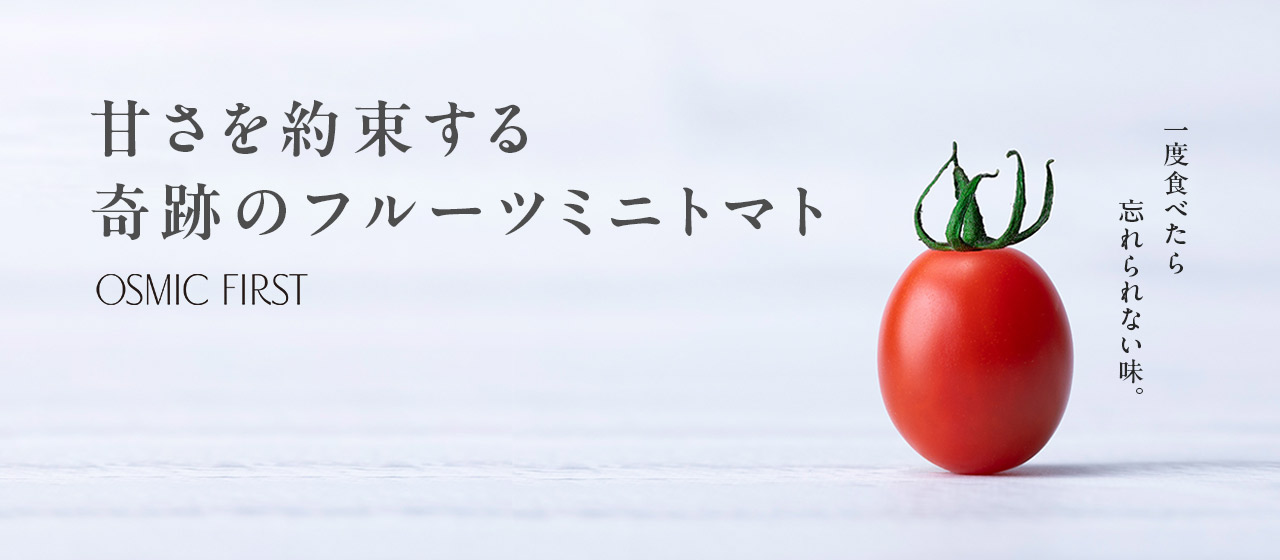 OSMIC FIRST onlineshop