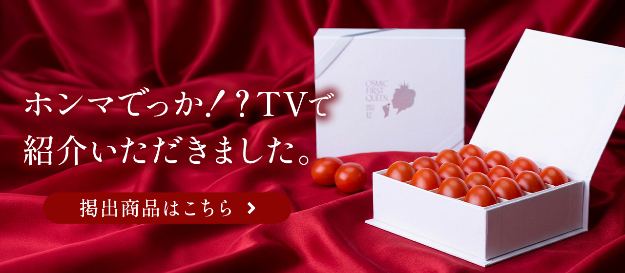 OSMIC FIRST onlineshop