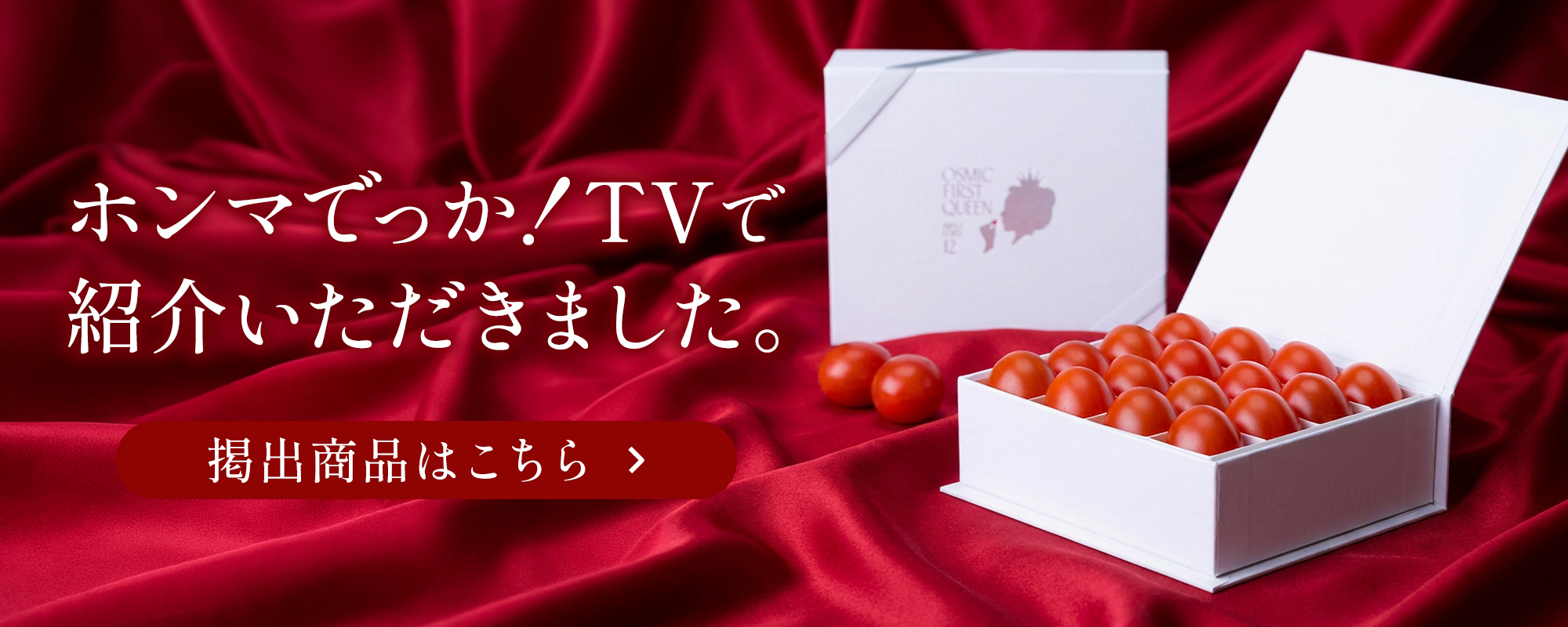 テレビ・雑誌で紹介いただきました