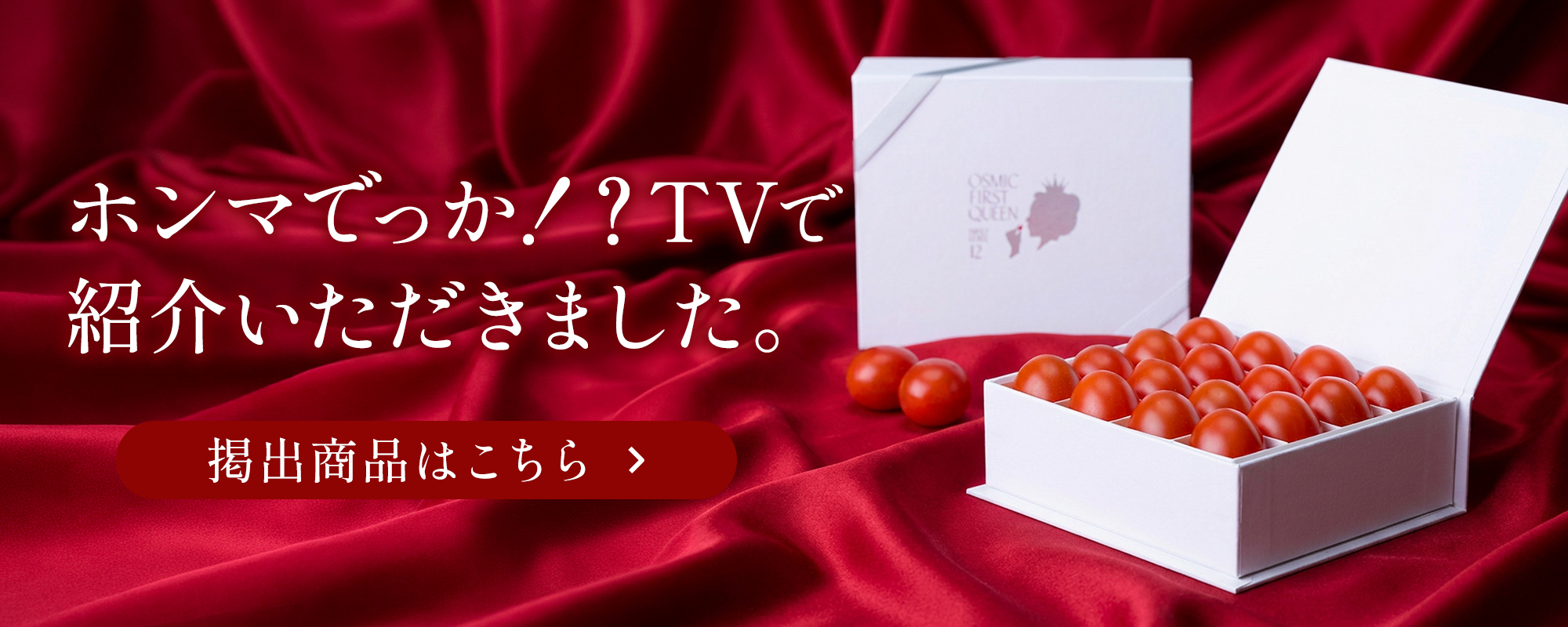 テレビ・雑誌で紹介いただきました