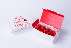 【定期便】フルーツトマト PRINCESS 300g OSMIC FIRST オスミックファースト