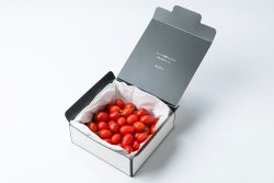 【定期便】OSMIC フルーツミニトマト 10（500g）