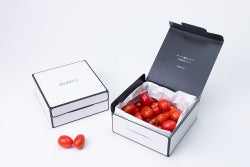 【定期便】OSMIC フルーツミニトマト 10（500g）