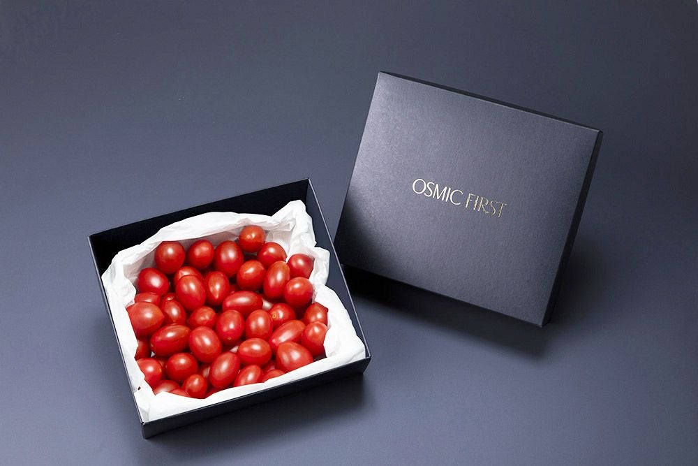 ご家庭向け | OSMIC FIRST onlineshop